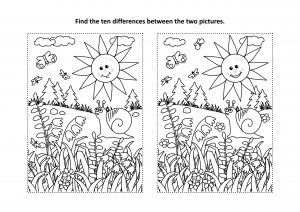 Znajdź różnice - kwiaty